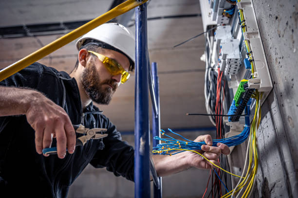 Best 24-Hour Electrician  in Freer, TX