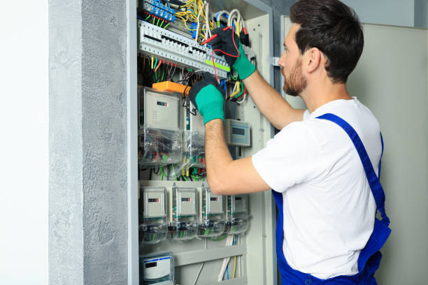 Best Electric Panel Repair  in Freer, TX